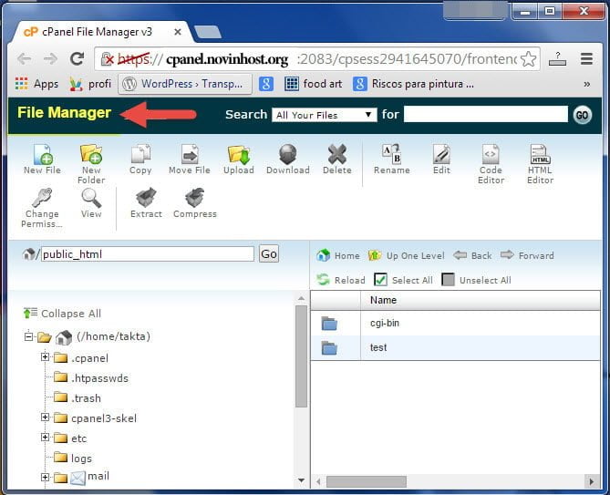 سوالاتی درمورد هاست سی پنل