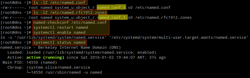 نصب و کانفیگ DNS