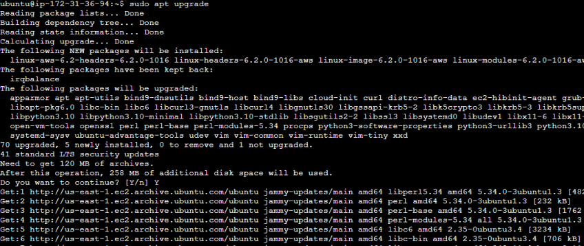 آموزش نصب Go در اوبونتو