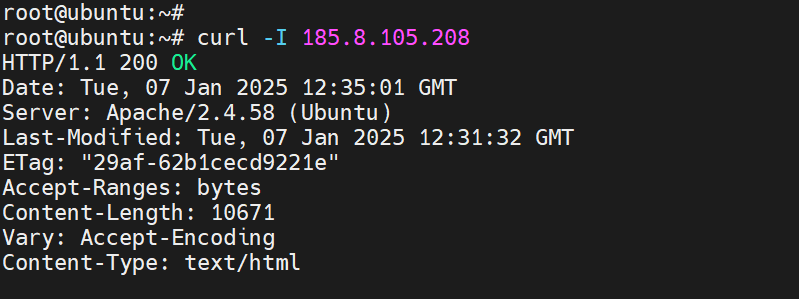 راه اندازی سایت در سرور