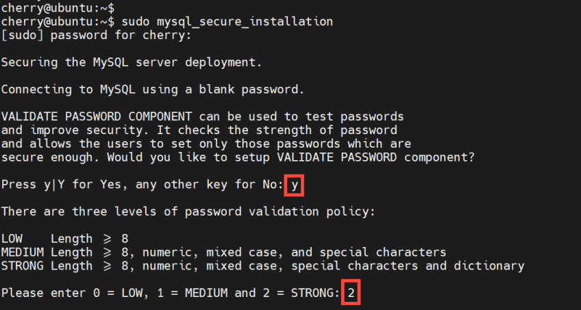 راه اندازی سایت در سرور