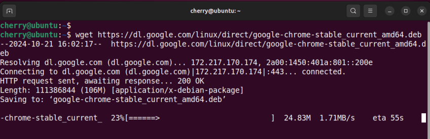نصب گوگل کروم در ubuntu