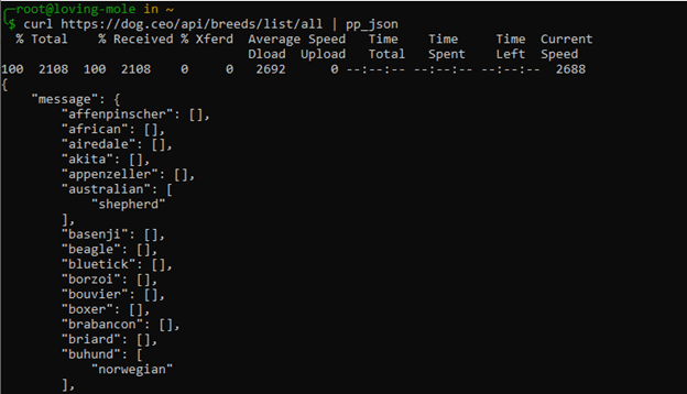 نصب Oh My Zsh در اوبونتو