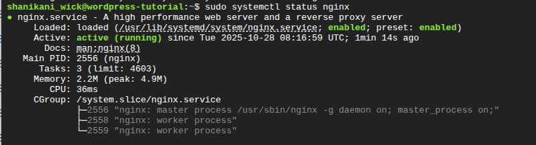 نصب وردپرس در اوبونتو