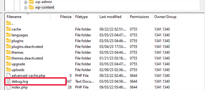 رفع خطای صفحه سفید در وردپرس