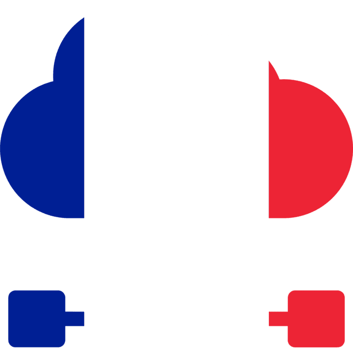 سرور اختصاصی فرانسه